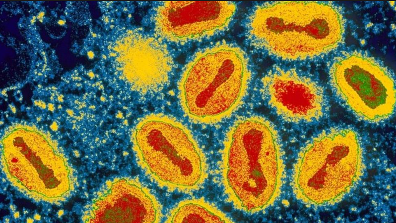 Smallpox eradication